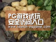 产品展示标题4