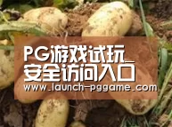 产品展示标题2