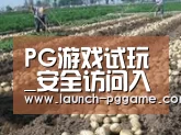 种植基地八