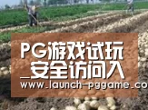 种植基地七(图1)