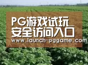 种植基地五(图1)