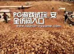 种植基地二
