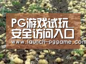 种植基地七
