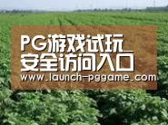 种植基地五