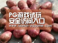 产品展示标题5