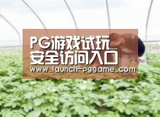 种植基地三