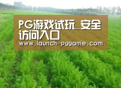 种植基地四