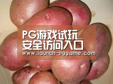 产品展示标题1