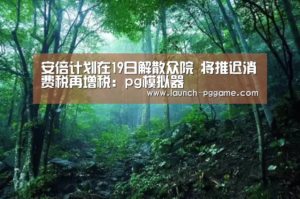 安倍计划在19日解散众院 将推迟消费税再增税:pg模拟器(图4) pg电子