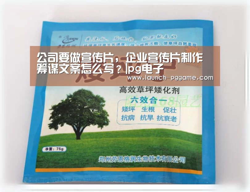公司要做宣传片,企业宣传片制作筹谋文案怎么写?|pg电子(图1) pg模拟器