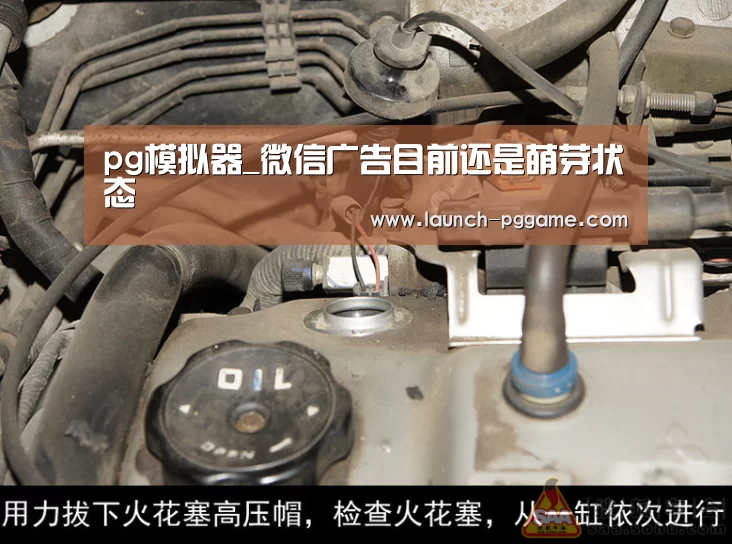 pg模拟器_微信广告目前还是萌芽状态(图1) PG Soft
