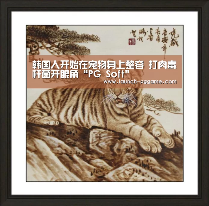 韩国人开始在宠物身上整容 打肉毒杆菌开眼角“PG Soft”(图1) pg模拟器