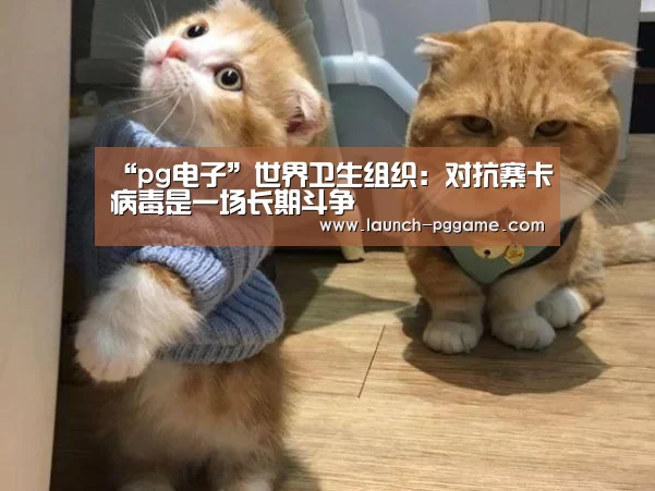 “pg电子”世界卫生组织:对抗寨卡病毒是一场长期斗争(图3) pg模拟器