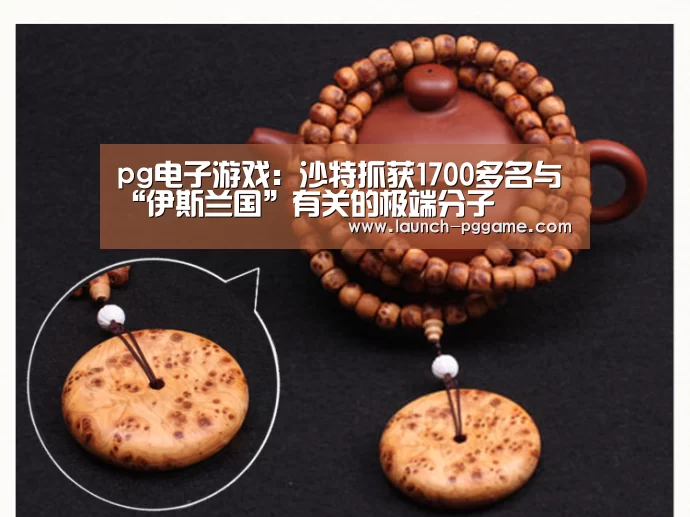 pg电子游戏:沙特抓获1700多名与“伊斯兰国”有关的极端分子(图1) pg模拟器