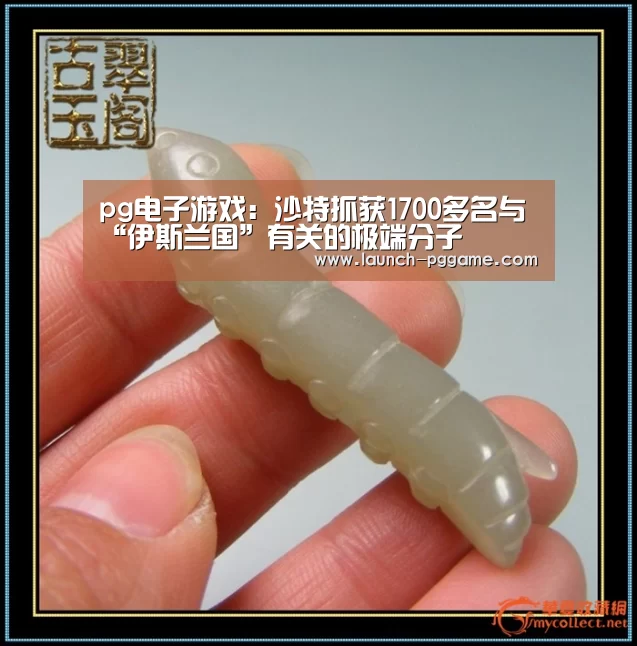 pg电子游戏:沙特抓获1700多名与“伊斯兰国”有关的极端分子(图2) pg电子游戏