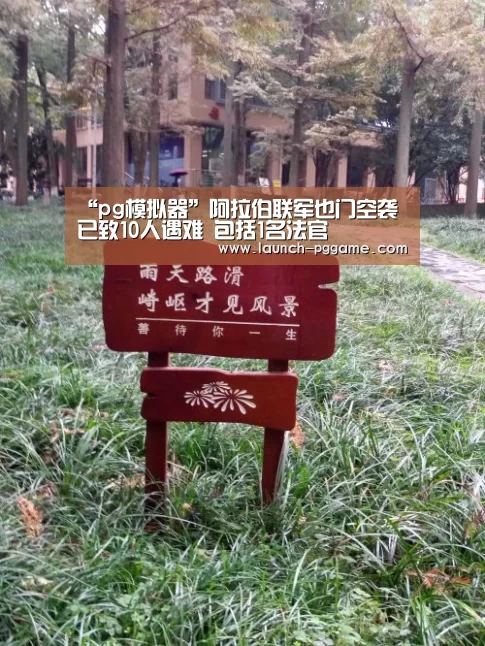 “pg模拟器”阿拉伯联军也门空袭已致10人遇难 包括1名法官(图1) pg电子