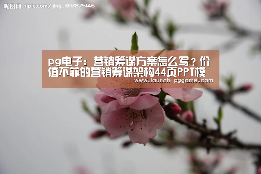 pg电子:营销筹谋方案怎么写?价值不菲的营销筹谋架构44页PPT模板(图2) pg电子