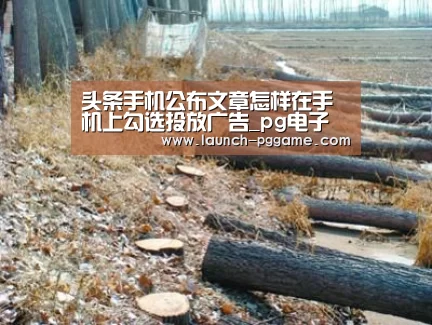 pg模拟器