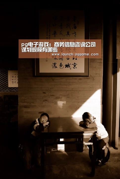 pg电子游戏:商务信息咨询公司谋划规模有哪些(图1) PG Soft