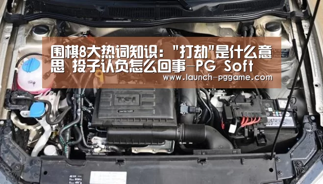 围棋8大热词知识:打劫是什么意思 投子认负怎么回事-PG Soft(图1) pg电子游戏