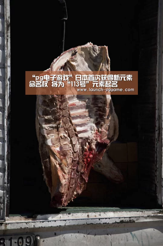 “pg电子游戏”日本首次获得新元素命名权 将为“113号”元素起名(图1) pg模拟器