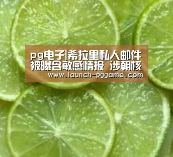 pg电子|希拉里私人邮件被曝含敏感情报 涉朝核设施动向(图2) PG Soft