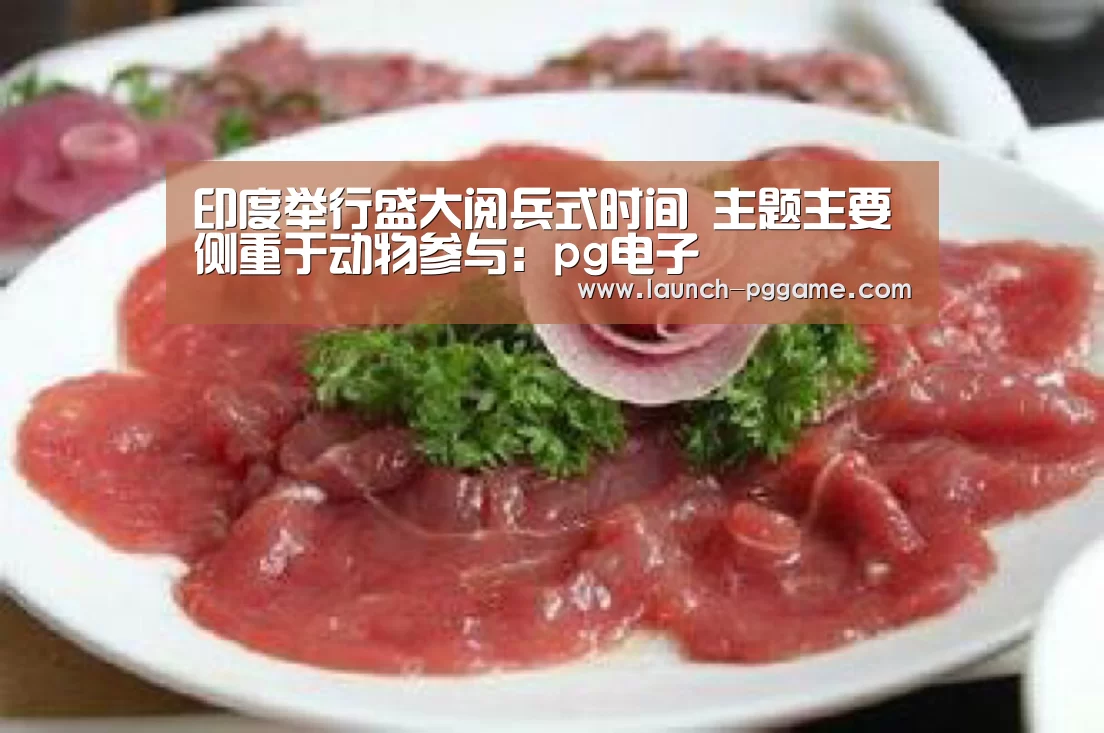 pg模拟器