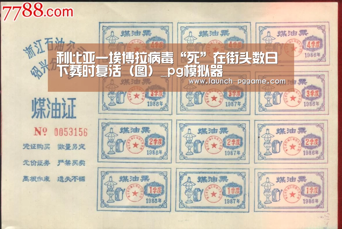 利比亚一埃博拉病毒“死”在街头数日 下葬时复活(图)_pg模拟器(图2) PG Soft