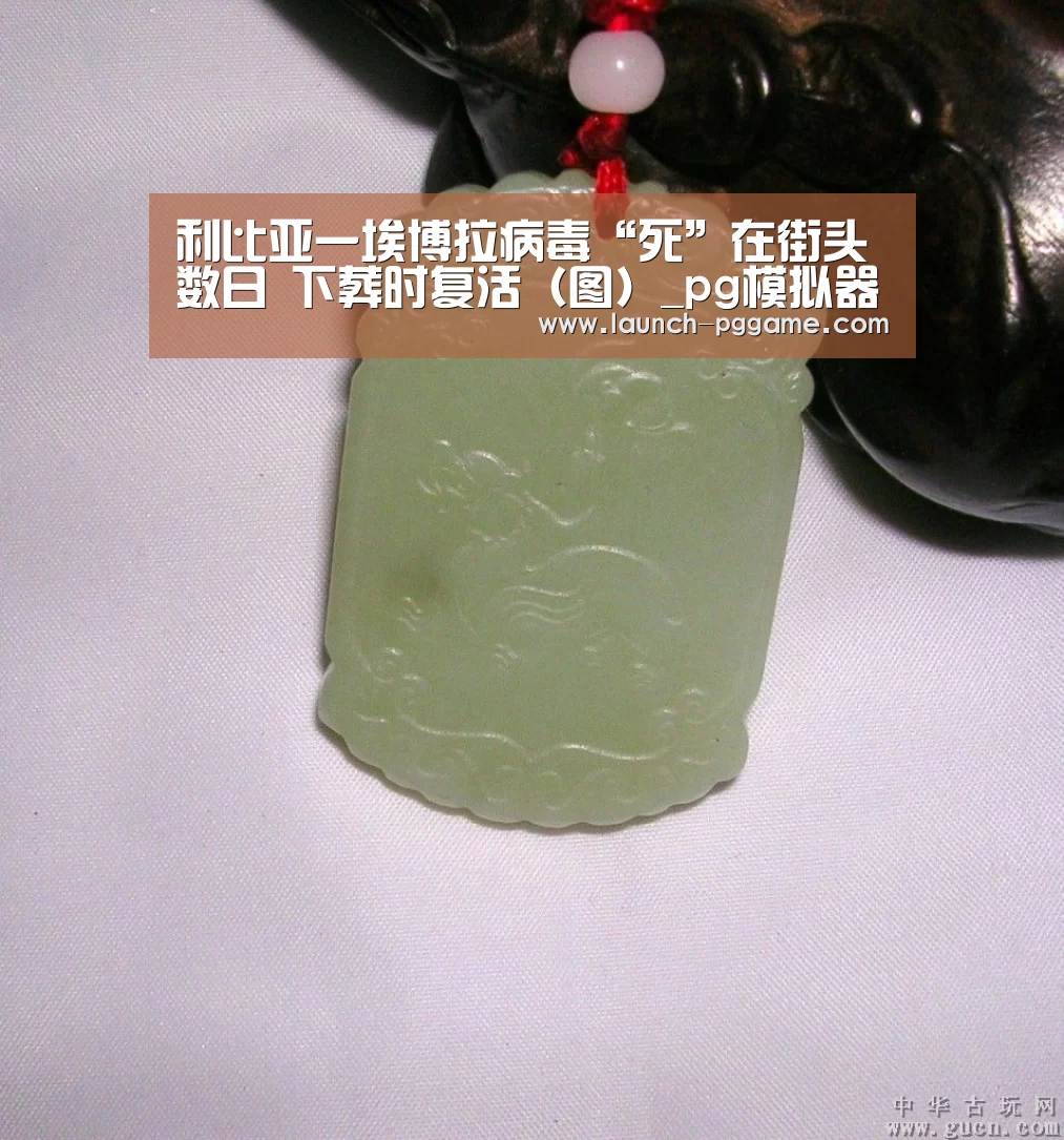 利比亚一埃博拉病毒“死”在街头数日 下葬时复活(图)_pg模拟器(图3) pg电子
